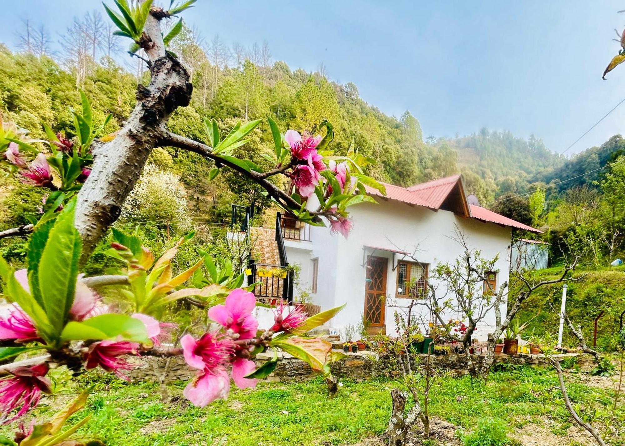 Love'S Farm, Cottage In Ramgarh Экстерьер фото
